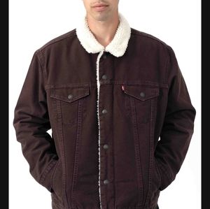 Levi's Bayberry Canvas Sherpa Trucker Jacket